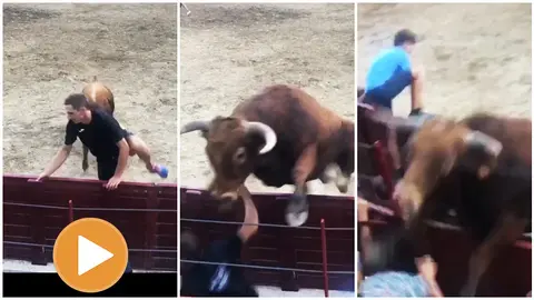 Un novillo salta la barrera en Arguedas y a punto está de llegar a las gradas. JORGE CELORRIO