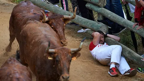 Primer encierro del Pilon de Falces de 2019. MIGUEL OSÉS