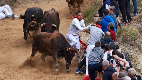 Tercer encierro de El Pilón de Falces con la ganadería falcesina de Teodoro Vergara. MIGUEL OSÉS