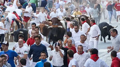 Primer encierro de Tafalla 2019. IÑIGO ALZUGARAY
