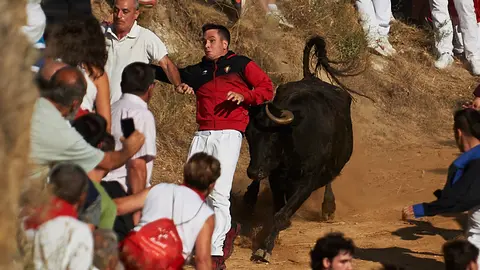 Último encierro de las fiestas del Pilón de Falces 2019. PABLO LASAOSA