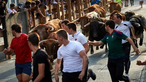 Primer encierro de las fiestas de Peralta de 2019 con los novillos de la ganadería de Dolores Aguirre. MIGUEL OSÉS