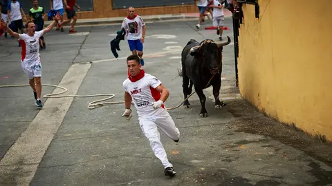 Toro con soga del domingo por la mañana en la localidad navarra de Lodosa. MIGUEL OSÉS
