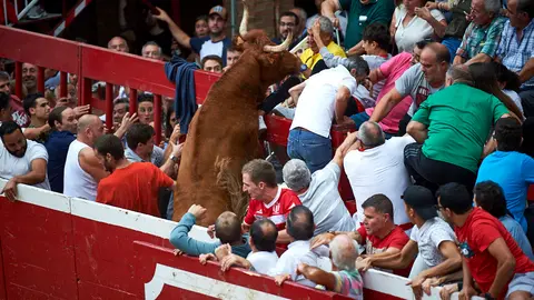 Suelta de vacas de la ganadería de Arriazu en la localidad Navarra de Villafranca durante las fiestas de 2019. MIGUEL OSÉS