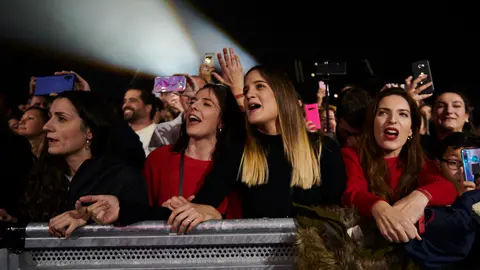 El Navarra Arena acoge el concierto del grupo Estopa. PABLO LASAOSA 9