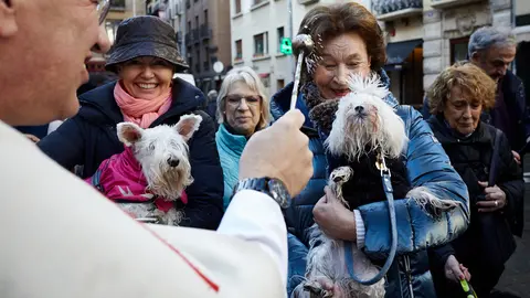 Bendición de animales por San Antón en la Plaza de San Nicolas de Pamplona. IÑIGO ALZUGARAY