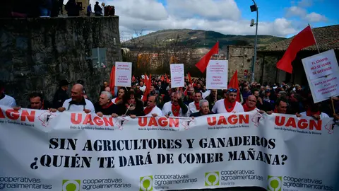 Los agricultores y ganaderos protestan por las calles de Pamplona. PABLO LASAOSA
