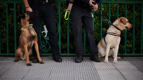 Unidad canina de busueda de rogas de Policía Municipal de Pamplona. PABLO LASAOSA