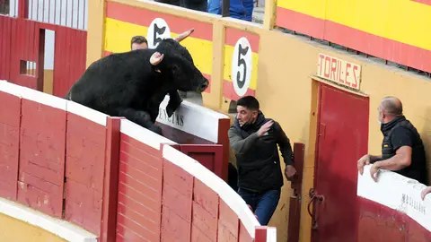 Espectáculo taurino celebrado en Tudela con ganado de Arriazu  con todos los protocolos frente al coronavirus. AMAYA LUQUI (23)