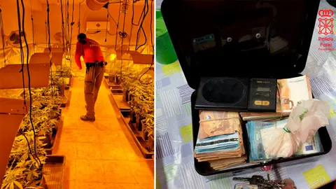 La Policía Foral detiene a un hombre por alquilar una vivienda en Orkoien para cultivar una plantación de marihuana POLICÍA FORAL