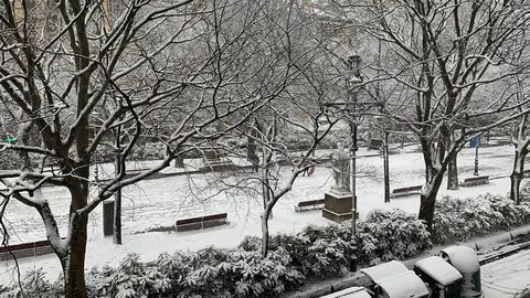 Imagen de la nevada que ha dejado la borrasca 'Filomena' en el Paseo de Sarasate de Pamplona. Navarra.com