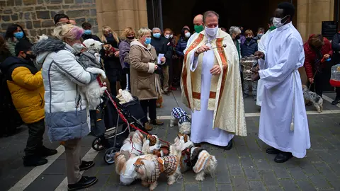 Decenas de personas acuden con sus mascotas en Pamplona a la bendición de San Antón
Decenas de personas acuden con sus mascotas en Pamplona a la bendición de San Antón
Decenas de personas acuden con sus mascotas en Pamplona a la bendición de San Antón. MIGUEL OSÉS