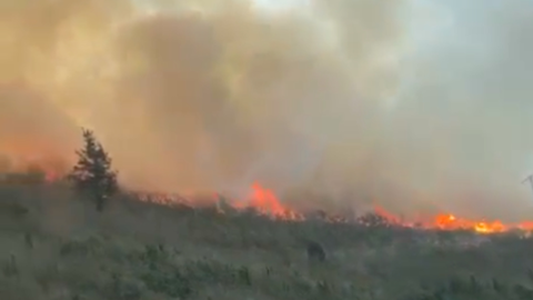 El incendio declarado en Bera avanza hacia Francia. ARCHIVO
