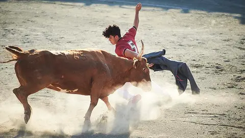 Festejo taurino en Puente la Reina con la ganadería de Arriazu. PABLO LASAOSA