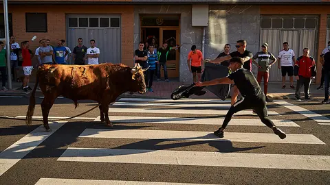 Primer toro ensogado en Lodosa desde el comienzo de la pandemia del coronavirus. PABLO LASAOSA