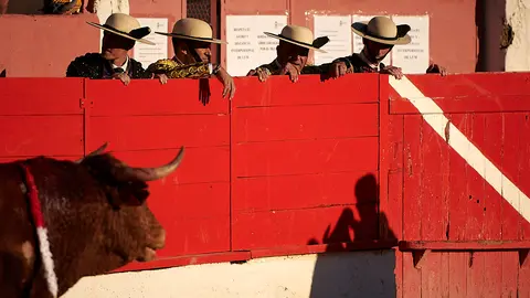 Novillada de Reta de Casta Navarra organizada por TauroNavarra en Corella. PABLO LASAOSA