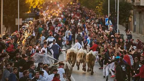 Primer encierro de las Ferias de Tafalla 2021 con toros de Prieto de la Cal. PABLO LASAOSA