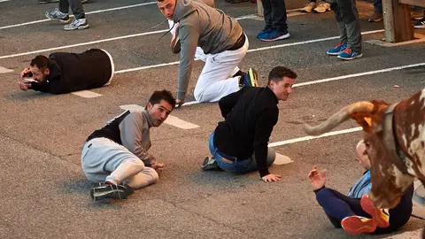 Encierro en Tafalla con novillos. MIGUEL OSÉS