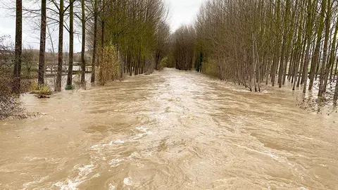 La fuerte crecida del río Ega desde el puente de Murieta. Navarra.com