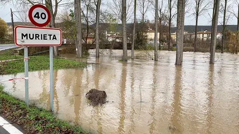 Al fondo el puente de Murieta sobre el río Ega