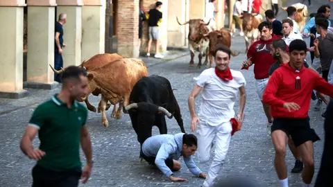 Encierro de novillos el domingo en Estella durante las Fiestas del Puy. IRANZU LARRASOAÑA