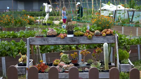 Inauguración del huerto comunitario del barrio de Ermitagaña-Mendebaldea, situado en la confluencia de las calles Arcadio Mª Larraona y el Paseo Antonio Goyena. IÑIGO ALZUGARAY