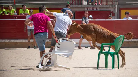 Mozos y mozas se divierten en la capea de la Plaza de Toros de Pamplona con motivo del día de las Peñas. IRAITZ IRIARTE.