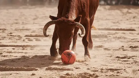 Tarde de vaquillas con la ganadería de Macua durante las fiestas de Barañain 2022. PABLO LASAOSA