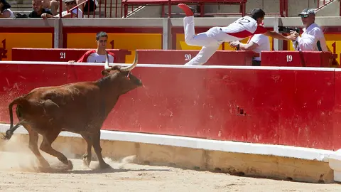 Gran Concurso Nacional de Anillas con vacas de Marcén en la Plaza de Toros de Pamplona durante las fiestas de San Fermín 2022. IÑIGO ALZUGARAY