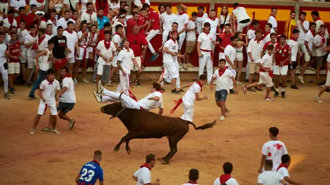 Vaquillas en la plaza de toros durante San Fermín 2022. IRANZU LARRASOAÑA
