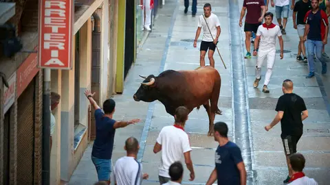 Encierro de novillos en Estella. IRANZU LARRASOAÑA