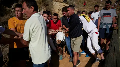 Primer encierro del Pilón de Falces de 2022. IRANZU LARRASOAÑA