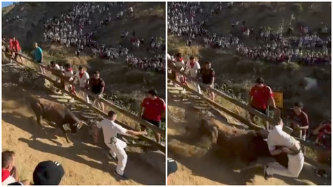 Brutal cogida de una vaca de Reta a un mozo en el Pilón de Falces.