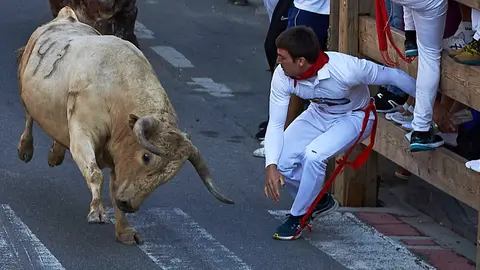 Primer encierro de las fiestas de Tafalla 2022 con toros de Prieto de la Cal. PABLO LASAOSA