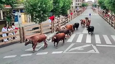 Segundo encierrillo de Tafalla con toros de Manuel Blázquez.