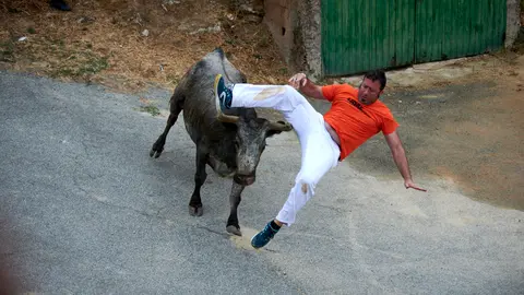 Tercer encierro de las fiestas del Pilón 2022 en Falces con vacas de Teodoro Vergara. IRANZU LARRASOAÑA