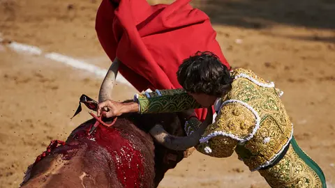 Segunda corrida de fiestas de Tafalla 2022 con toros de Manuel Blázquez para los diestros Curro Díaz, López Simón y Mario Sotos. PABLO LASAOSA