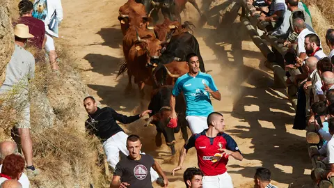 Cuarto encierro del Pilón de las Fiestas de Falces 2022 con vaquillas de la ganadería de Lastur de Iziar. IÑIGO ALZUGARAY