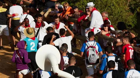Octavo encierro del Pilón de las Fiestas de Falces 2022 con vaquillas de la ganadería de Teodoro Vergara de Falces. IÑIGO ALZUGARAY