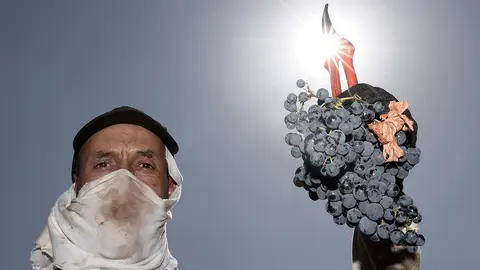 GRAFCAV9232. CORELLA, 03/09/2022.- Recogida de la uva en una parcela cerca de la localidad navarra de Cintruenigo antes de llevarla a la Bodega corellana Viña Zorzal. Después, todo va a un camión frigorífico, donde la cosecha diaria “duerme” una noche y al día siguiente se procesa a 11 grados. “Si quieres hacer un vino de calidad hay un millón de factores y debes pensar que todos ellos son importantes. Si empiezas a incumplir uno, otro, otro, otro… tu vino va a ser más convencional”, refiere en una entrevista con Efe Xabi Sanz, al frente de la bodega junto a sus hermanos, quienes tomaron el relevo de la bodega fundada en 1989 por su padre y varios socios, y hoy han cambiado aquella forma convencional de procesar para crear “un superlaboratorio”, que hace vino con uva de parcela y de origen. La vendimia, un trabajo “muy duro” pero “también ilusionante” para quienes se dedican a la viticultura, ha llegado en 2022 a Navarra con un adelanto histórico por el calor de un verano que también conllevaba incertidumbres sobre la cosecha, aunque finalmente asoma de buena calidad y sin gran merma en cantidad son las previsiones del Consejo Regulador de la Denominación de Origen Navarra.  EFE/ Jesús Diges
