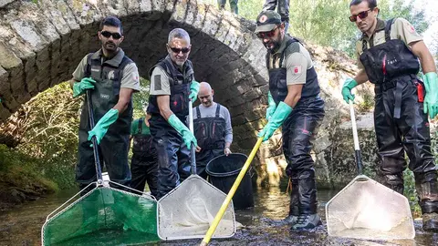 El Gobierno de Navarra ha testado con éxito el uso de una presa desmontable para evitar el avance en el río Ubagua de la perca europea, una especie exótica invasora (EEI) introducida por el hombre en el embalse de Alloz, y que de no frenarse pondría en peligro a las especies locales, como la trucha. En la imagen, trabajadores del Departamento de Desarrollo Rural y Medio Ambiente de Navarra. Trabajadores del Departamento de Desarrollo Rural y Medio Ambiente de Navarra. EFE/ Pablo Rojo