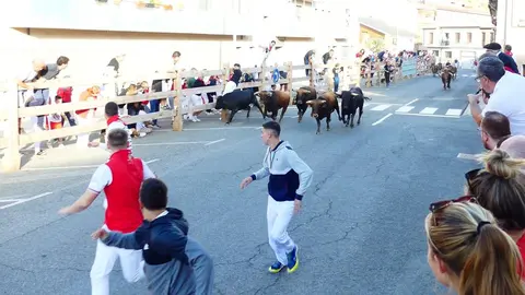 Cuarto encierro de las Fiestas de Sangüesa 2022. CEDIDA