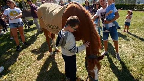VII Feria Navarra Ecológica en el Parque de los Sentidos de Noáin. IÑIGO ALZUGARAY