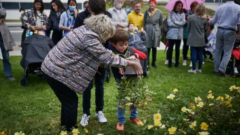 Acto organizado por la Unidad de Innovación Social en colaboración con el Servicio de Jardinería del Hospital Universitario de Navarra en el que niños plantan un rosal junto al busto de Santiago Ramón y Cajal. PABLO LASAOSA