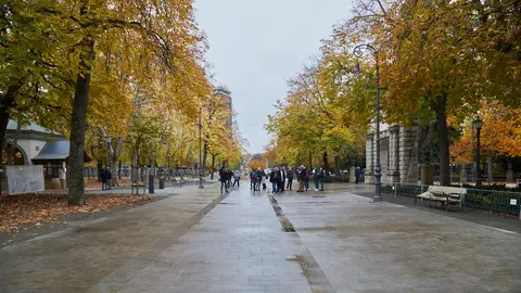 La Comisión de Urbanismo del Ayuntamiento de Pamplona visita las obras de reurbanización de la calle Bosquecillo, que se abrirá al tránsito a partir del sábado 3 de diciembre. IÑIGO ALZUGARAY