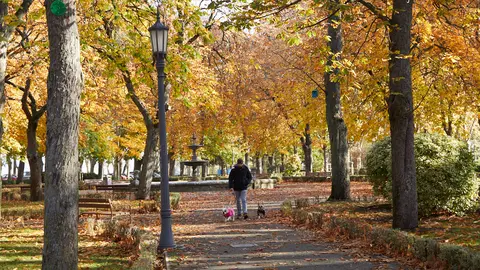 Con la llegada del frío, las calles y parques de Pamplona se han cubierto de hojas dejando estampas otoñales por toda la ciudad. IÑIGO ALZUGARAY