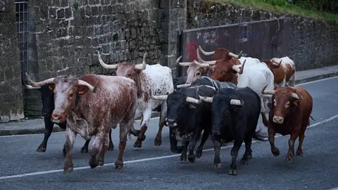 Cebada Gago protagoniza el encierrillo del día 8 de julio en San Fermín de 2023. PABLO LASAOSA