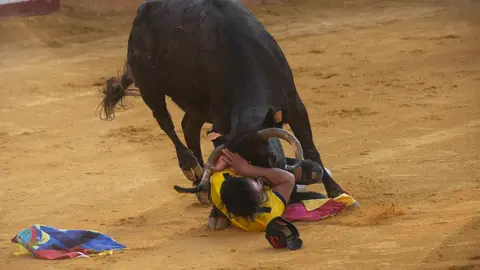 Suelta de vaquillas de la ganadería Enrique Domínguez de
Funes. JASMINA AHMETSPAHIC