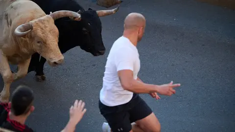 Último encierro de las fiestas de Tudela 2023 con toros de Prieto de la Cal. PABLO LASAOSA
