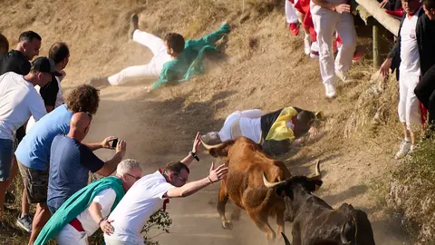 Primer encierro del Pilón de Falces en sus fiestas de 2023. PABLO LASAOSA